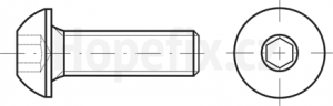 Button head socket cap screws
